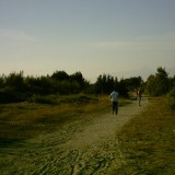 Torre del Lago